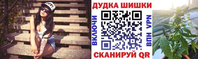 Конопля планчик Брюховецкая